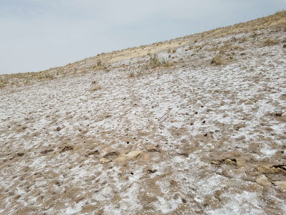 7I4hNazMJZ5Ex6M4kZrNDnQsYmflVcMbMhgnqOyERWK87a1LjouuH79WbUX_ODYv