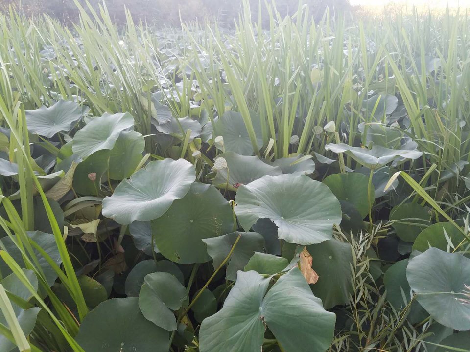 lbO4dvS5WozAppxPB5z-KH1Jgixd-NYr1hbB-_JSpBgiURXURweRwKqR4WPWJN4m