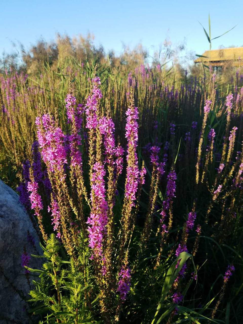 V23k4bth0pDpAQmnjWWBNtkUrL8699JkL3m2sFFhzf_UnjeZ-N81aMutml3T2EKl