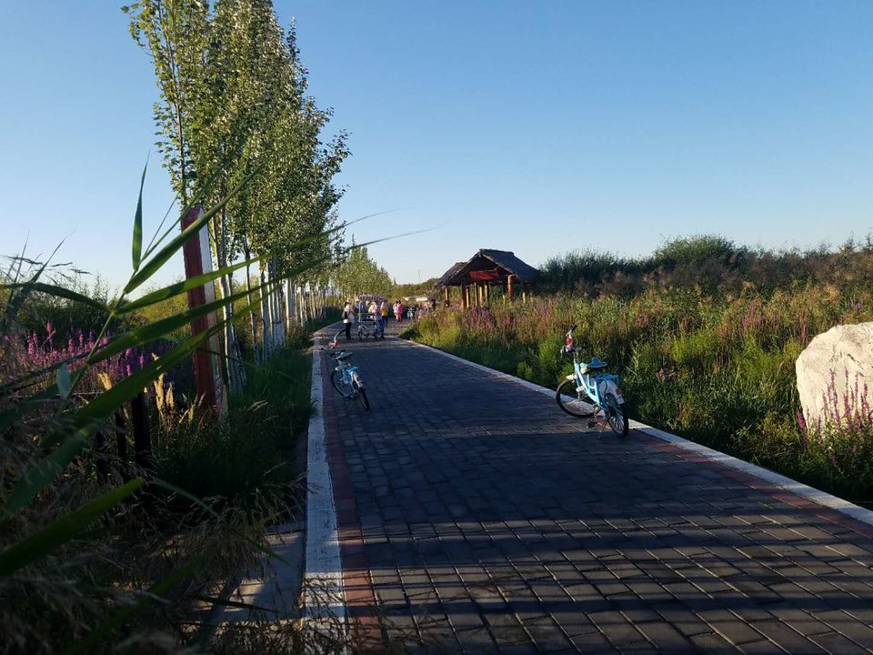 GKgonDGeg8B-JONCzdmYrsEk6ET5BOEVPV-tMvxtzZozw0dfwEmU5ffA0QqyXa-W