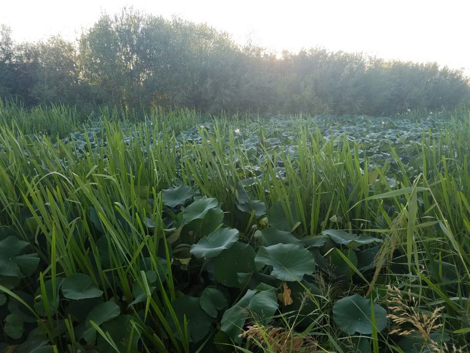 XsrNJ10Od1Dv9zXNMC17eQX5WJYfaGdVKBpWXdGHjWyT1pJZ0est1CKRTtQel-MC