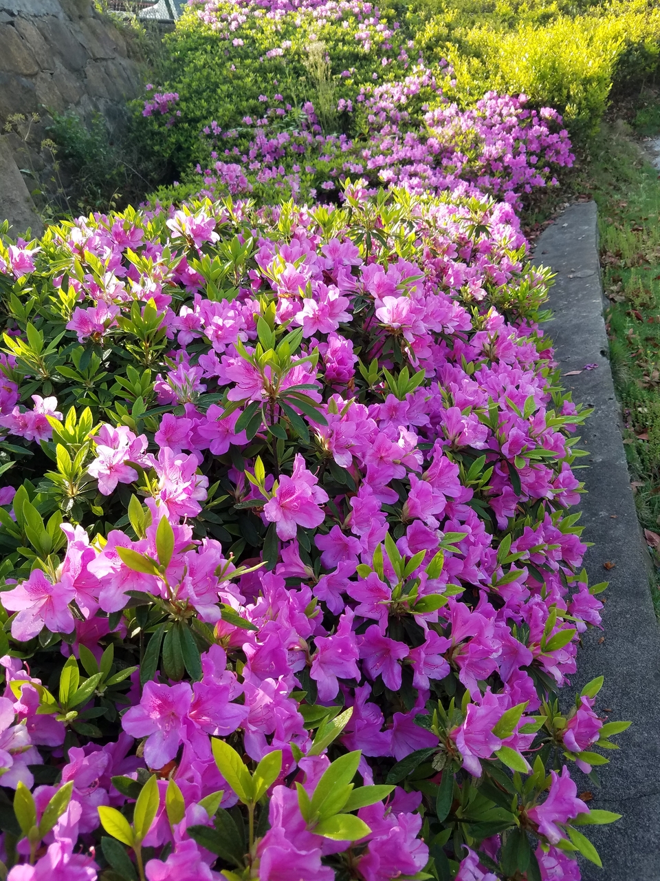 KjT1yqTJXUH-Qt9bxrKPcQxjZS8XouV0kc62BmQQjkF7azqkuuEo7gz79PbwHofN