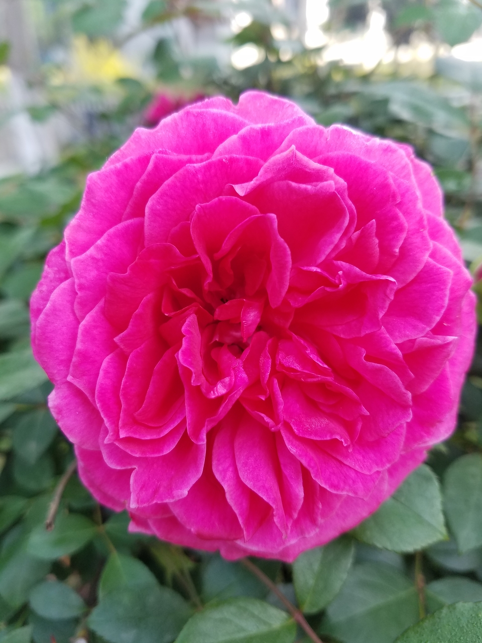 5uVLNs7dyD5n5WfDWBRwUtT1ouF42UGJJJOQTH75qfAQQEplbDzx5M82LjrpfAHY