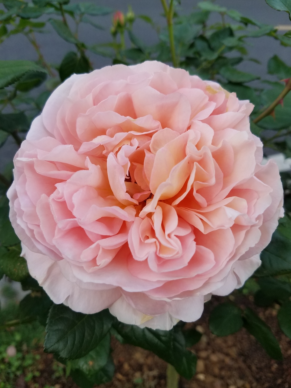 04nz7MXOWvR25_KElUQgu4kdFigDOGUt-UvCXTMwfvcCjRhMZ6owfxJ4Cgsl0i83