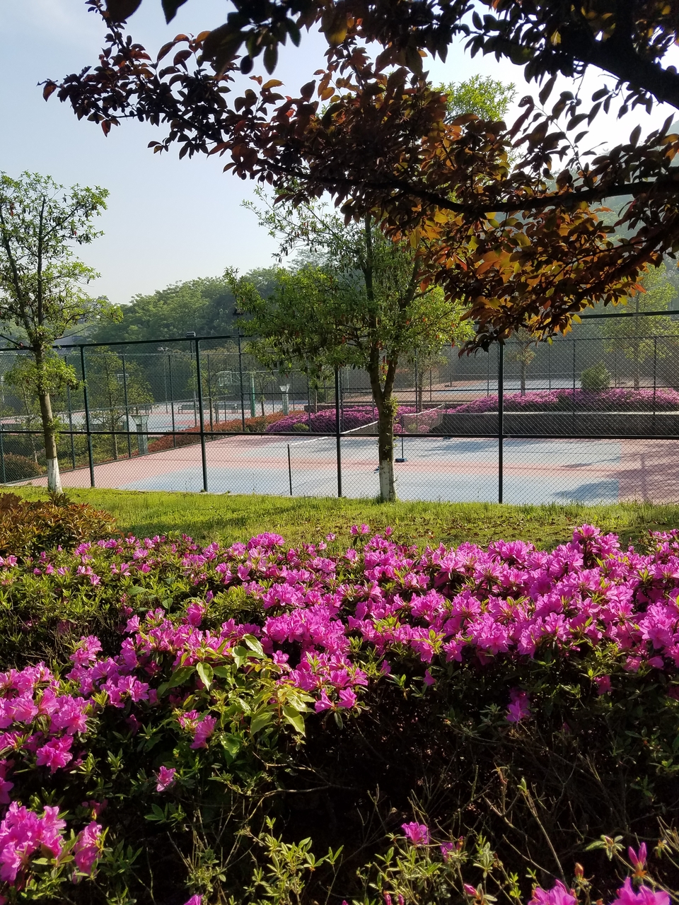 hOz43zatcFAN6wWMQJI-poWG8iBslV9Py0k1Tyt4bfkrJipdkOKA_SZ_cKXYAhyF