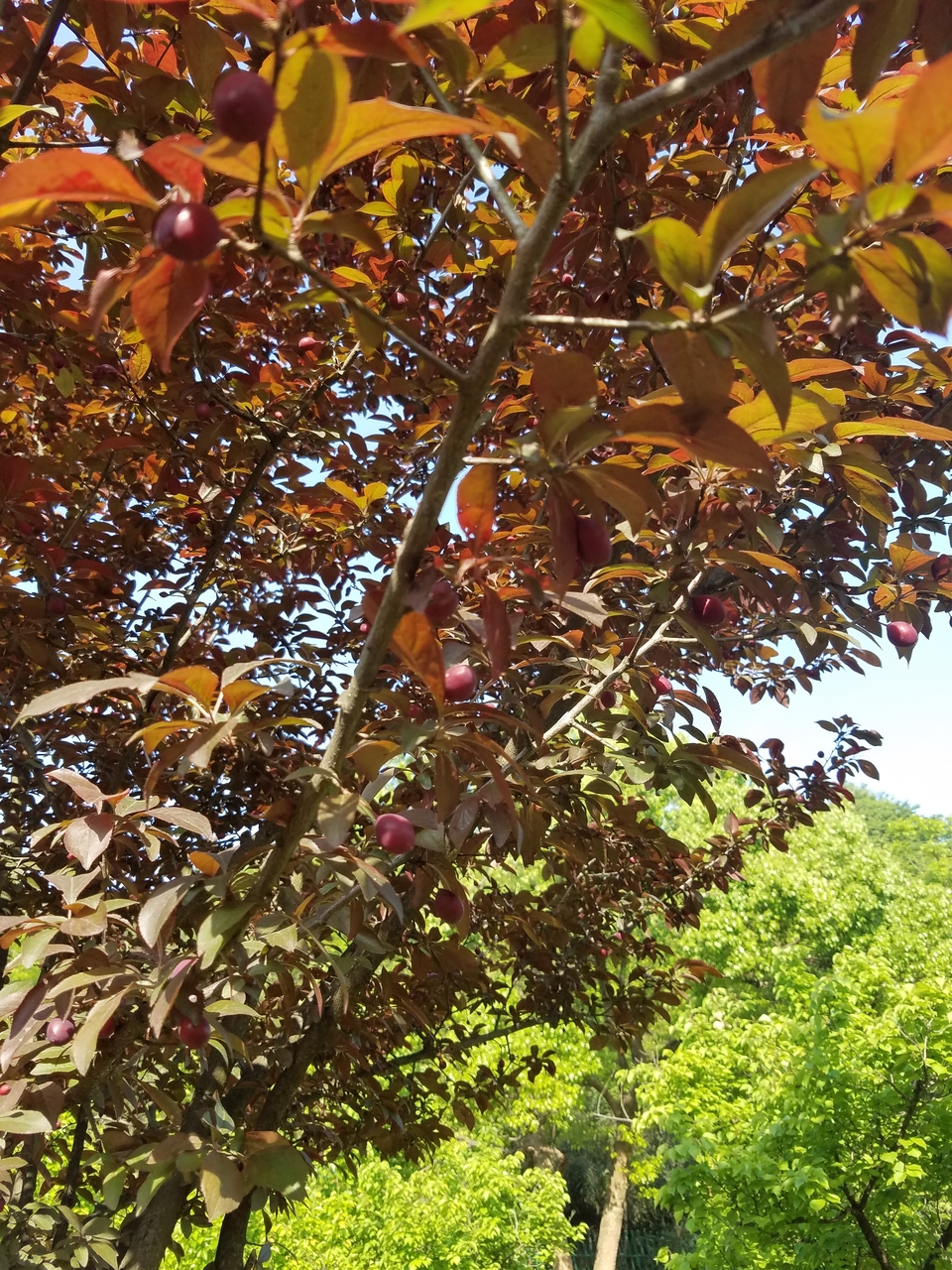 r_9uE_7gupKgkiGeM43QRpjv4PJeOJeHUkzX_s4SrOYSD7XFc8_h8ggFyKdAvR2j