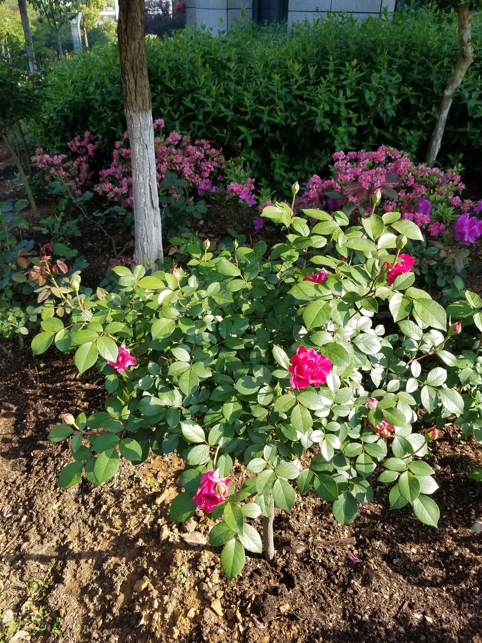 UWoNuWvD5os4mDPSyEClle_XzicEcyi4fSOwl5Ep1kuoq1Zyu-p2STntojhBF1yW