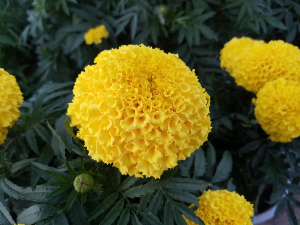 yH1tXAmHHW3Kz9d7YNm5aprGAx_lH1sHlHRXSI0KmeEv7iFW7fVYsb2oHagLkrk4