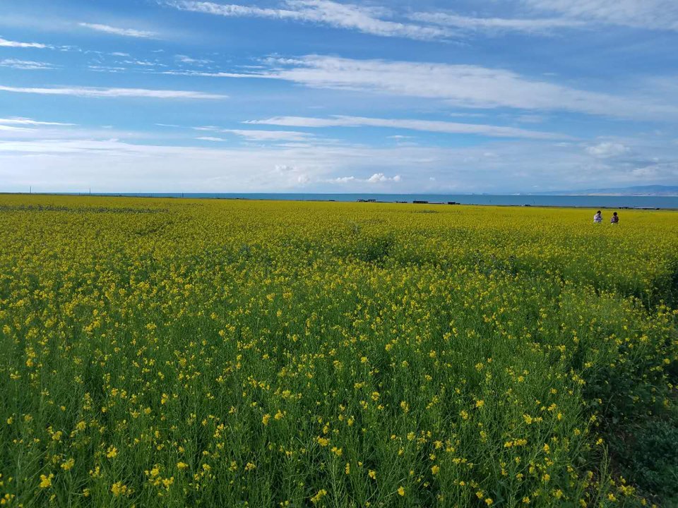 rfhd0usQd4reth11QTqNjhrdTKBoxbFBNj74N16oarWpbvj8i7HKRTkxOwFDi354