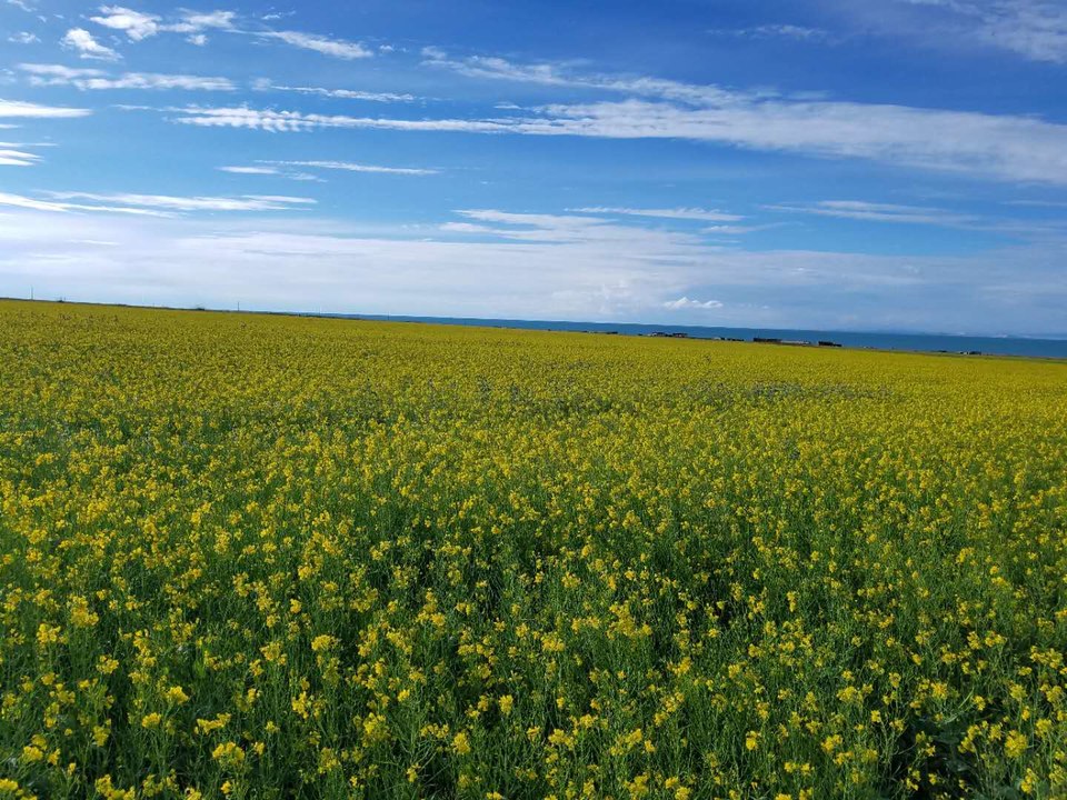 lfLU7hiHgOPg8v3aAVUGgKNt0gft9WAHAg0z9Pq3tLSNwnd0PaplhMoghb0NlpUR