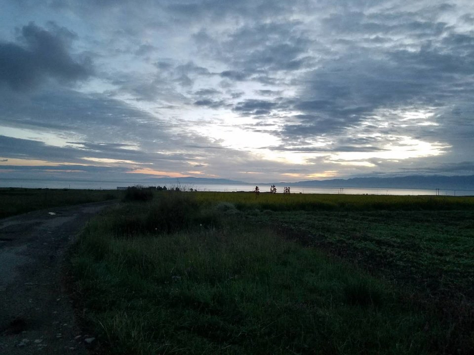 WIJ_rqrF_YHyv_fyEV3zMn-ea4yO2psocbwHmjX96ue-dnmSEw3w7qIhZ1C0Z-Ky