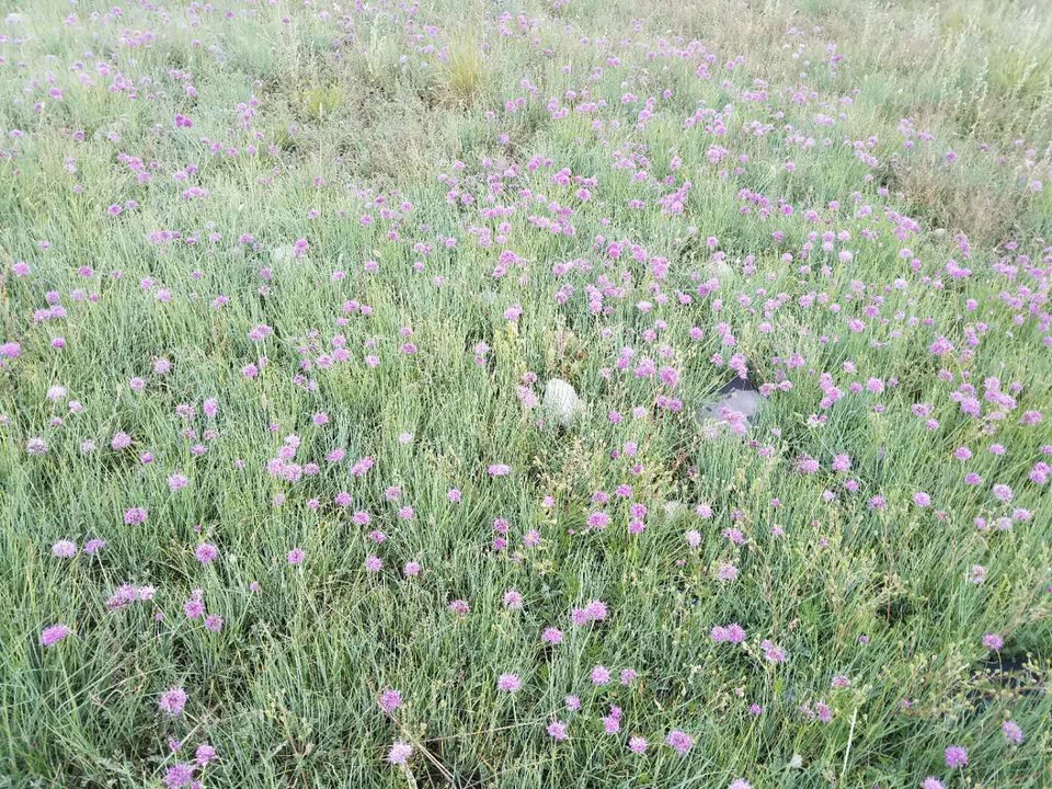 YqpuvtfDXEdpi4Lb0OQWDYQY5N9VzuqHXuvSgDbXv3zOQPB7K0XFF4etuV6gFftO