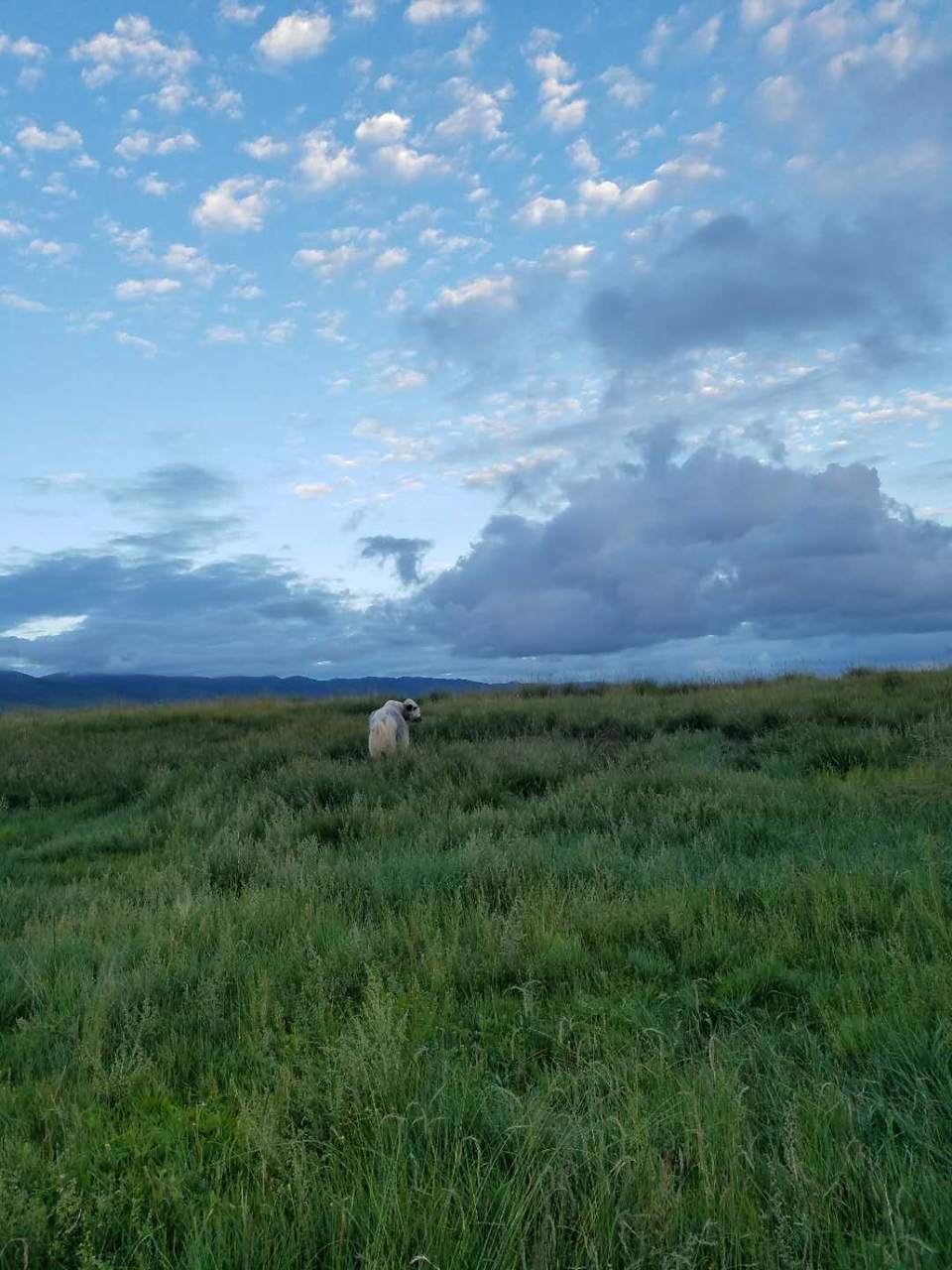 rDTLUpQe1RB-aecxg3dLBxGc_GQBTeM1EBXjO2RgMlg9gLl8JBeN-WhjmwPedDGk