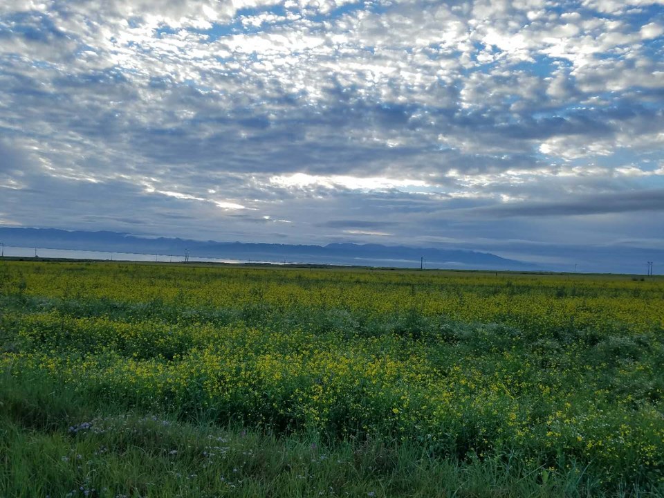 mpRKMeN5lVGpkJYZhI5yBpWgmuOwc0Nr4e2LTz5eSQKqkXfoZmvwGqN-DUAWQbDP