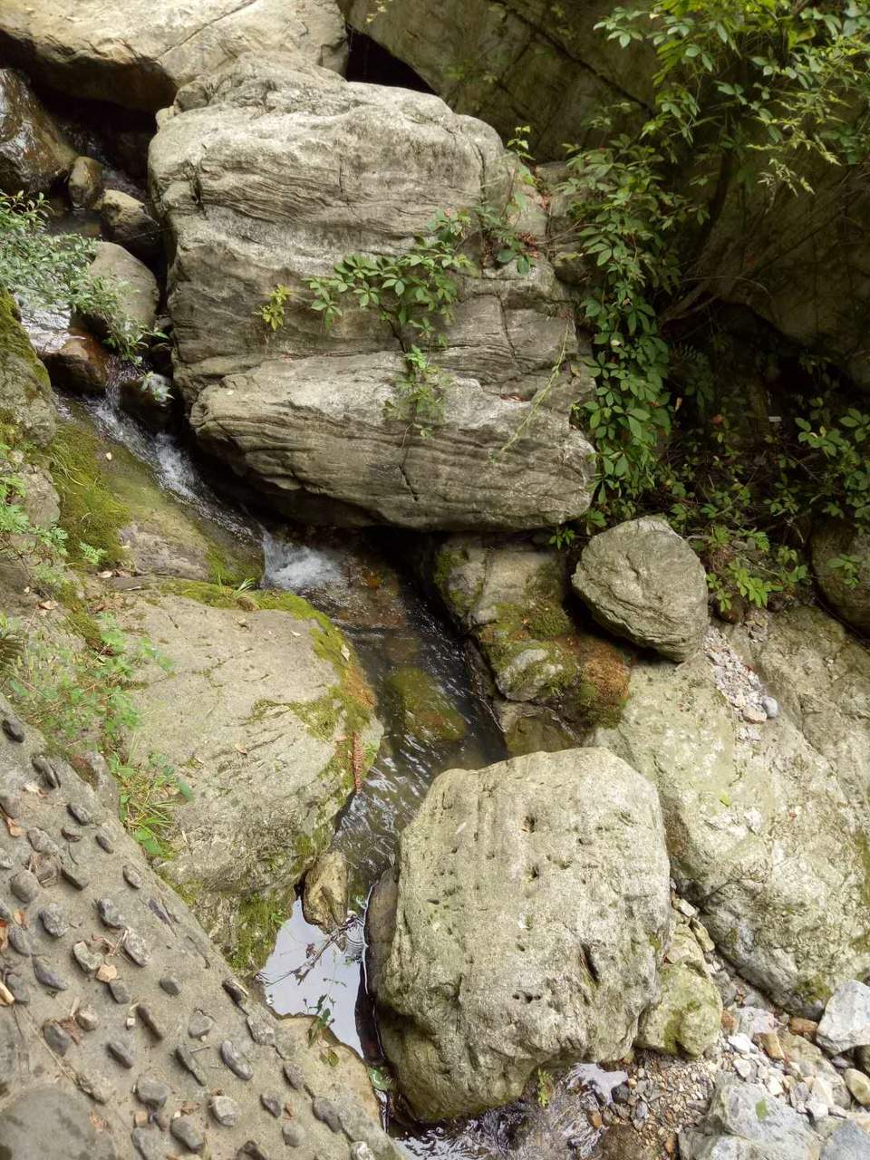 eb_8BdjGL2mSo3c-CN2E4o-X5meLLQeUarBvVJCfqYY1JEeKT2jKcrDi4R69oyTB