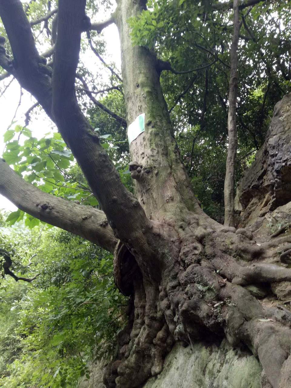 55rRHCKVn8hZdj_tCTQv4EuUcVA6LdenfjEnxB4EJnnRrwsOgX686pd4YBykWzBN