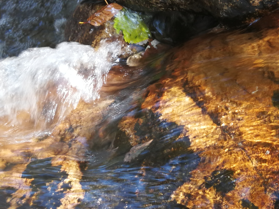 h16pZJHibR8GUyWiaJiu4OmE3kZ-e0tegkovZ5vpXllsBPvk5LqGY5fxJ7zXxI6U