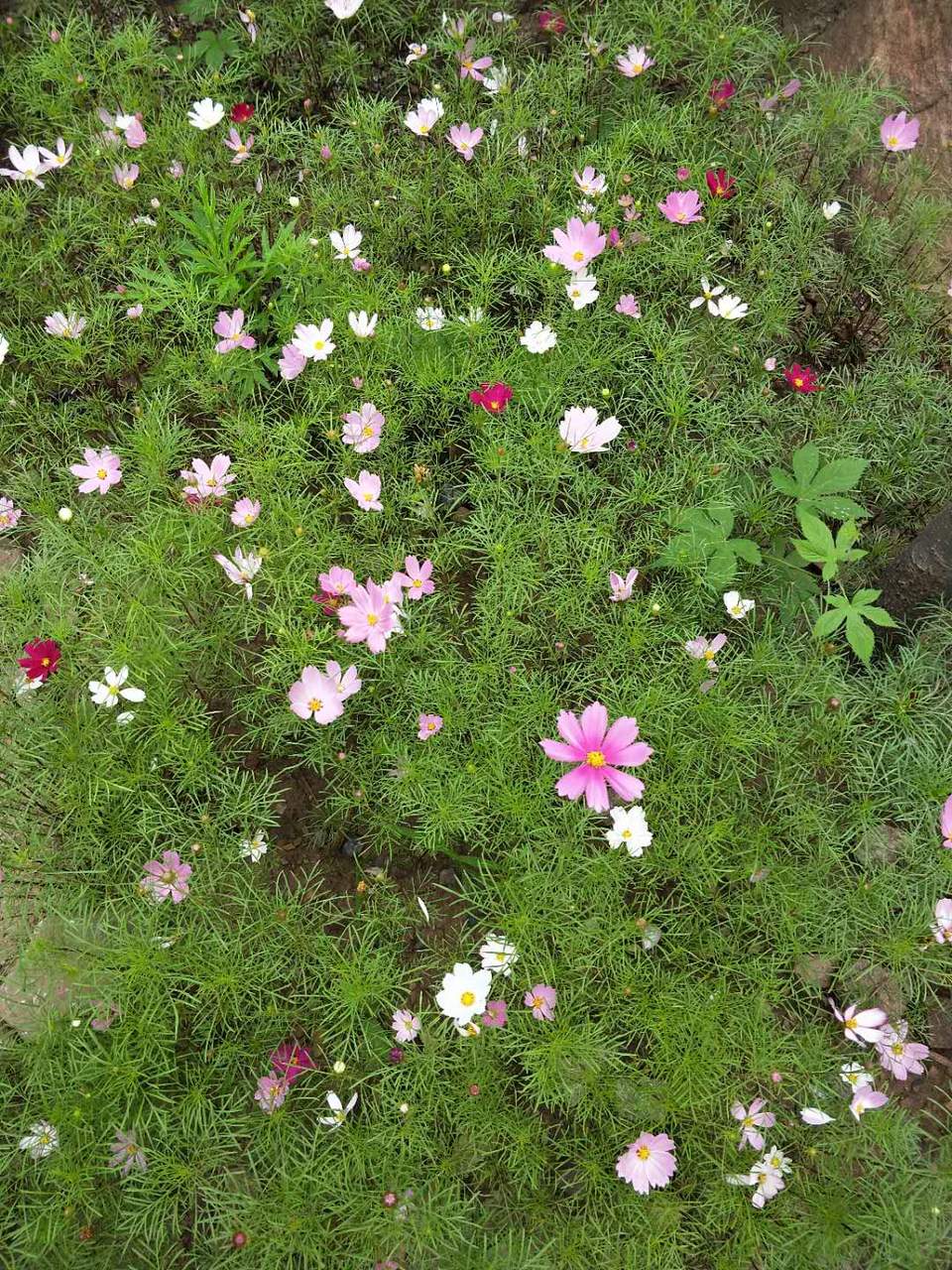 5THx5y6s-BMNEmv_4Qsp22DzFYiMRnvDN4CG80UOSzMV6xSQokqFoqhH5ZFhK9dC