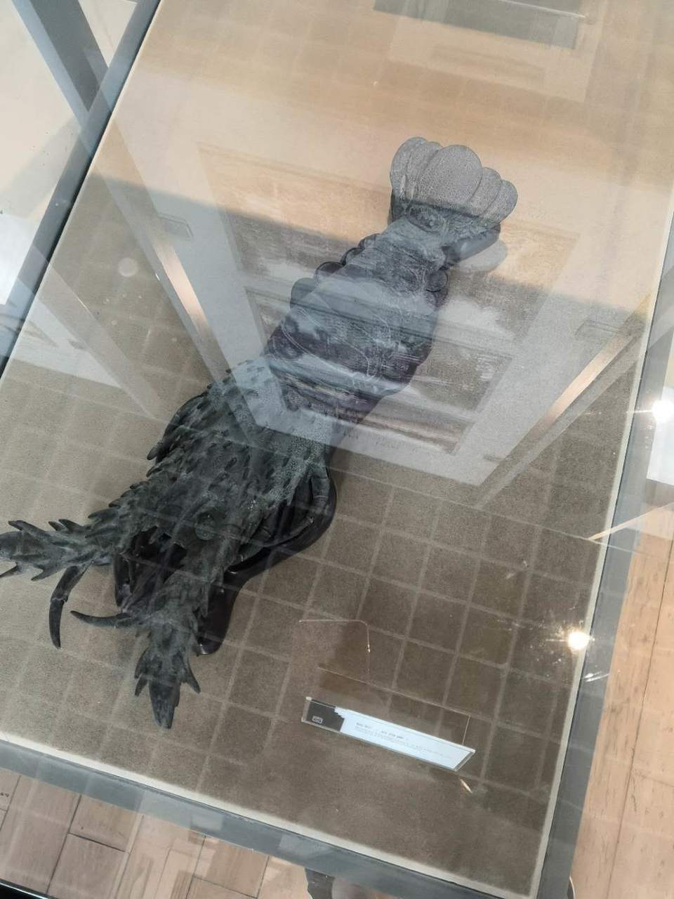 1wcOjgq23_CHbCoRhkdbX9sF02_2Lzckq9jW4OqPHAOLMnR9ZeOhwhX0uXQ1FSmK