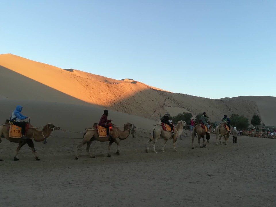 iNfRgHC0LDThxAVGRrmWfGBvuMlv_Eb6MxVYZEB_SczhQRlRDyyiqoF1IEQiB6Vz