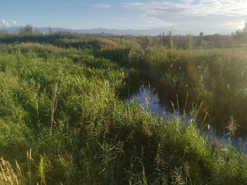 SNI2Pl3_-zbThgZyIcC_GGwjExyxfYZS0xHhD2R1HAtuNa7pVItMYkHPUf3rVBL0