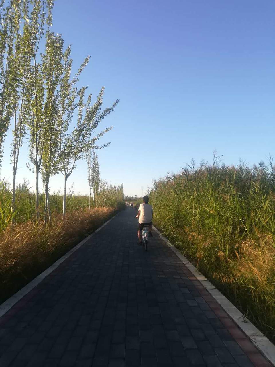 N1F2zY-v3RniK5Q8_pvsIgR2qj6SyTJA0DC86hGQE0wDS86MCZdTHvFQIERW9Zw3