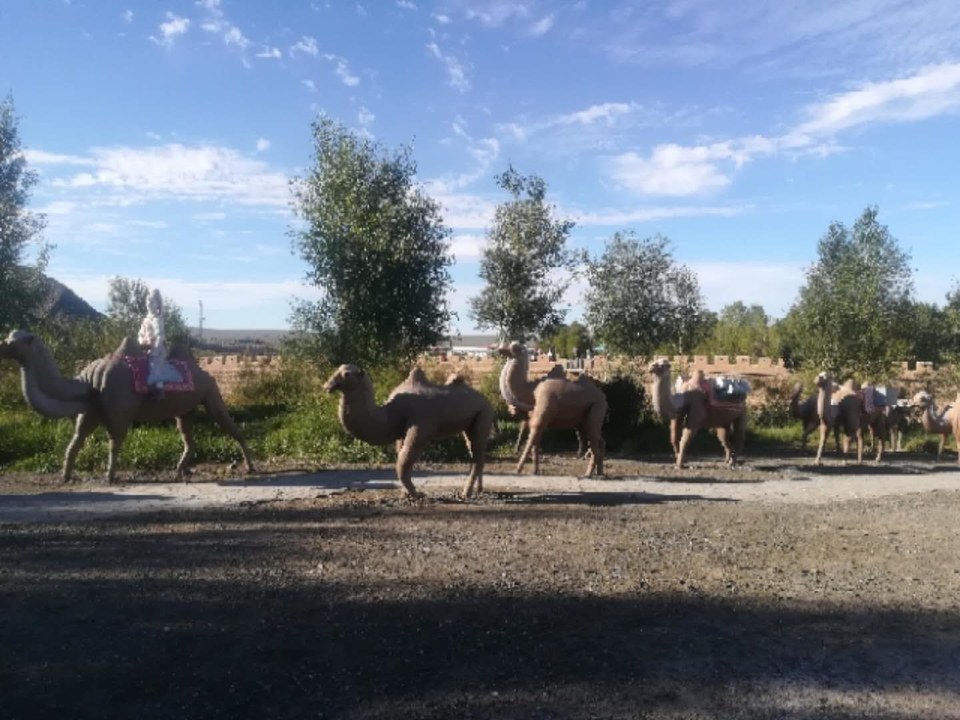 XT70vIX8R-W1eeVsDFTgz6Ie0m9slJmr8YrIFeWdy-py7vD6ZwBBVi2q85XmExwc