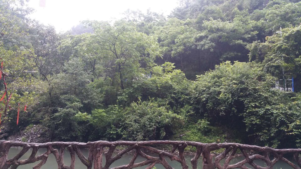 SSxUcY5FCGPMCSmx1DyHkQ2IT195Xtc6w1vrOHOatbKq8fEaZ9e_5NtxixfIYLXA