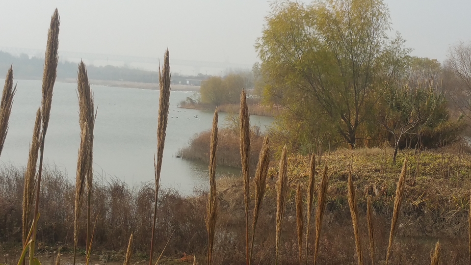 bml0Zd1l1ef152U8vI61VlENXXEzH_EXwopiklUE3cNluUP_rb2Q0UCNKaf9c3pU