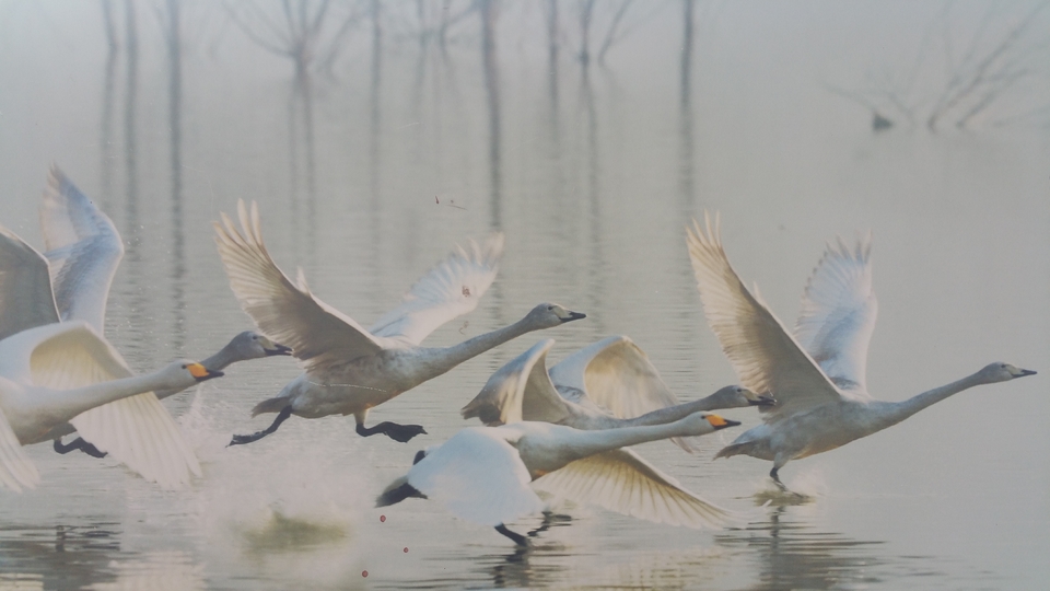 4IGsNAYzmCQ12NA8l-FZcOiu1K6qNKlfj4SQfmeS6VjGmrBSY-7aOMWHVZkvudeT