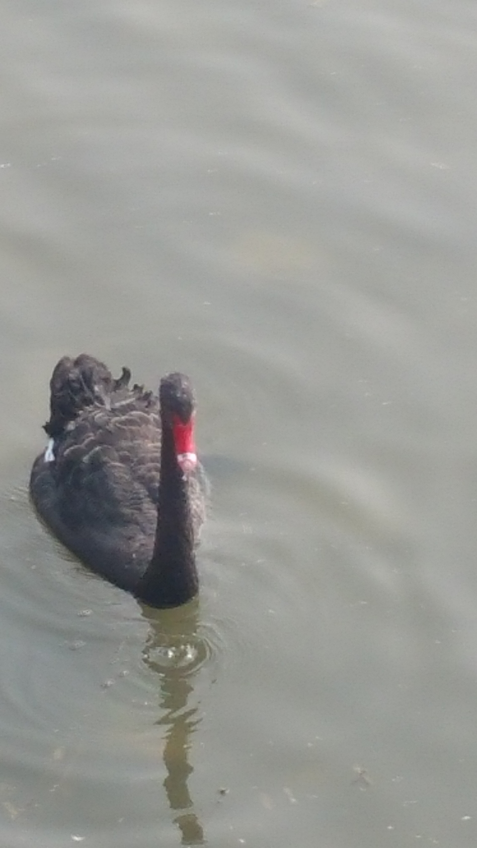 aJTPZEopWOtb9-e_6UpZTbYz8oqdgYq7uiidZpfNRnAjsPmWFFN4ismmD2AZXQK9