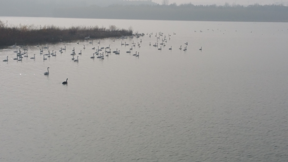 -tny1ODjyzP4dCR5aLPUBZnN9hq8Xc1eRNOrFGfmREseCM45cCWlia_OxvkKyMhq