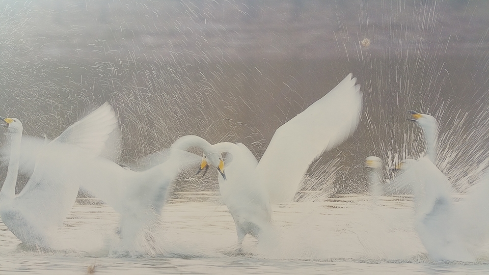 ypd0Pk4BdD6Tow2mO1SvHaFKth4FgFOo923dYHPK8hClb99vlTsf1i5IJdAJF7rm