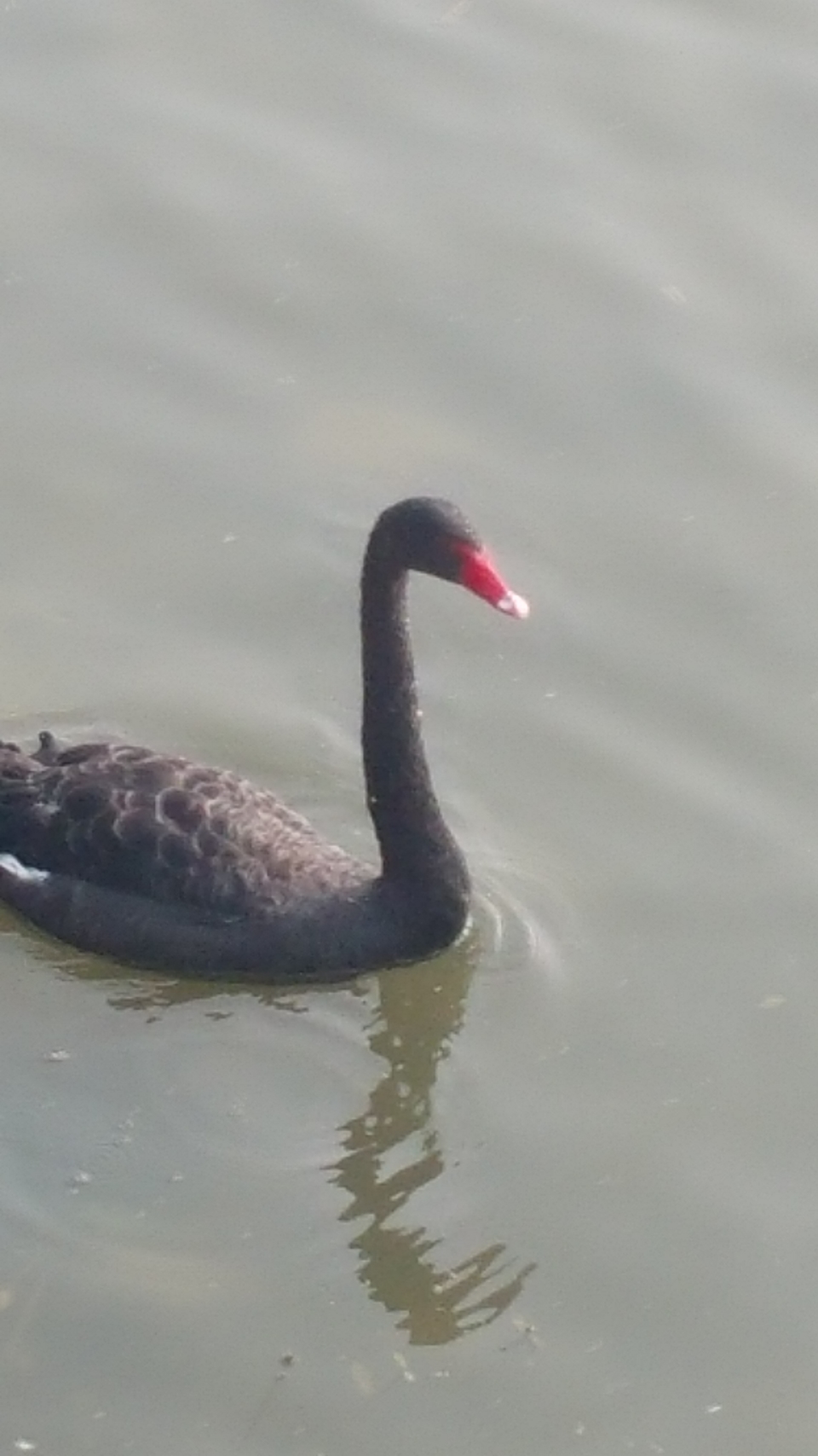 UWPCayHhRM_OvNxHQOZWqqptkfyOaVSaOhhfao0FvZ-w_-TWKKaLuYJEmaBSLX5I