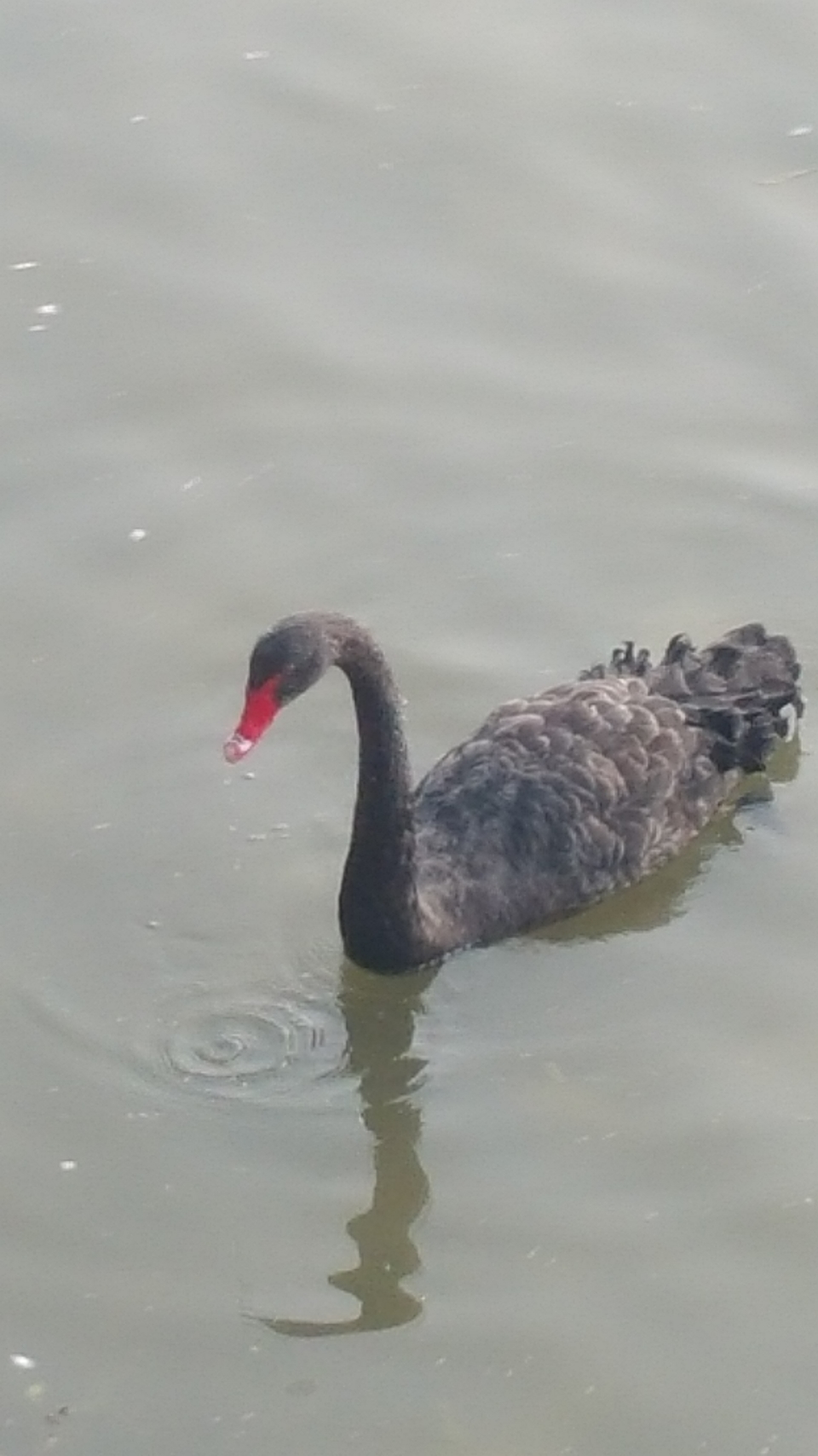 A5z2CxoJNcPahd-ITn3q7wI-HdR6Vmqa-Kw8aGjjV38k_Gy0REKNmf1BZx6te1Ux