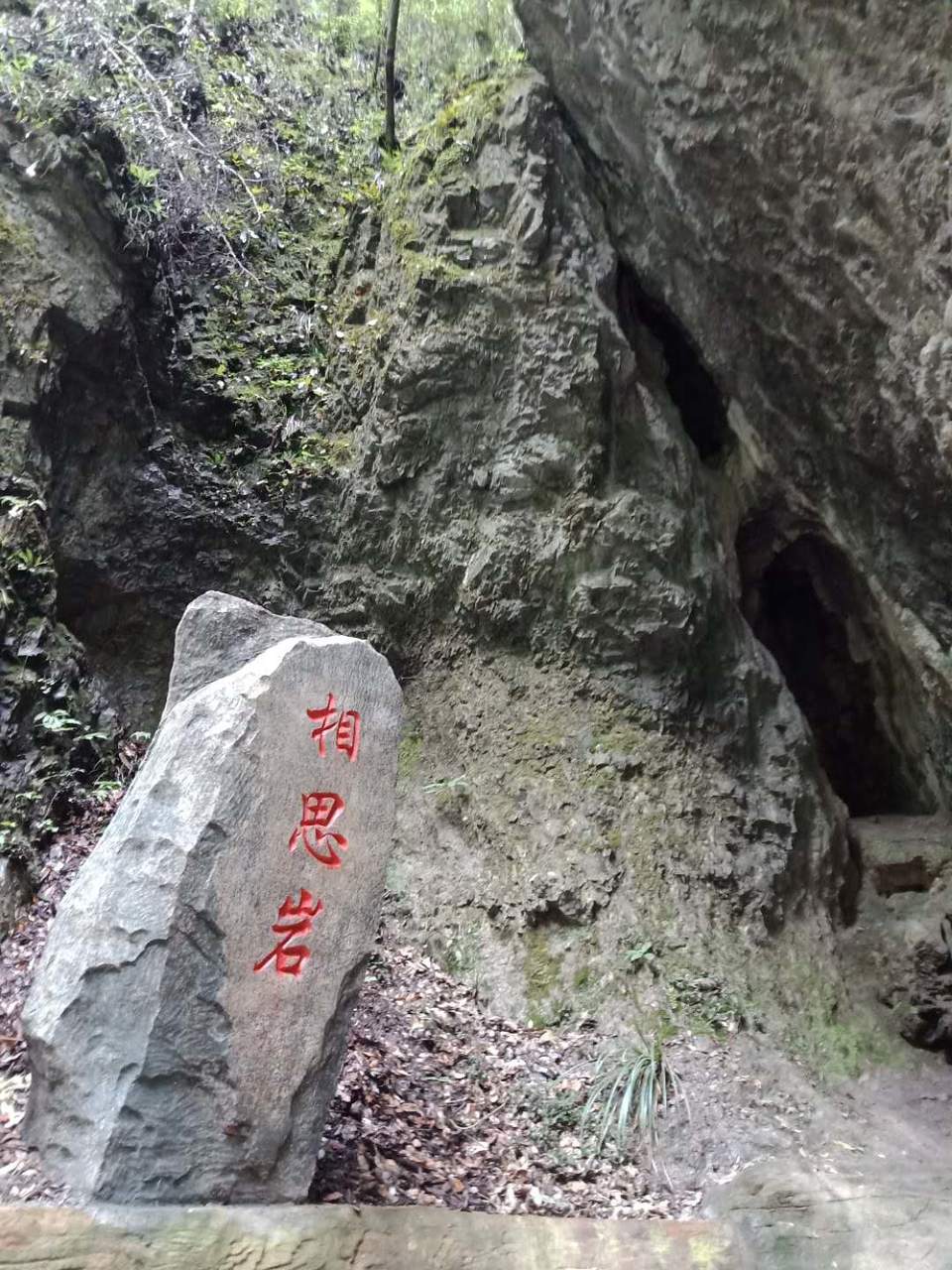 LAvZiDMotCtSySV-UL2xM5t62B2_2c3XkDrqJT72wroUkACsSJcDNVyc4VwCtSqm