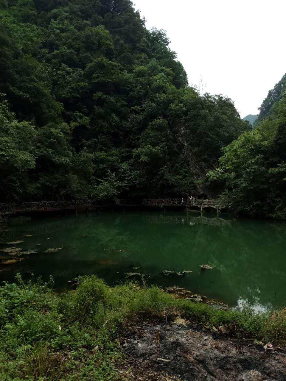 gqsO0oIzL8y7AWsGhLUIp2f9erht2HQ3SFsrrM3q0mC59CJjIKnOIYSrJfLiIffS