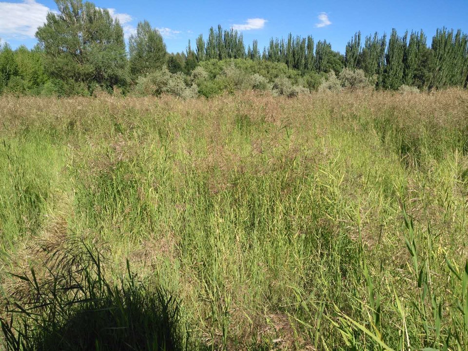 -HjBVpD4XlE4yxMjtsj35Hhh-Vv_IXf9xmjBCfFyX4U1T45Nis1CCVdk_QdNVuZq