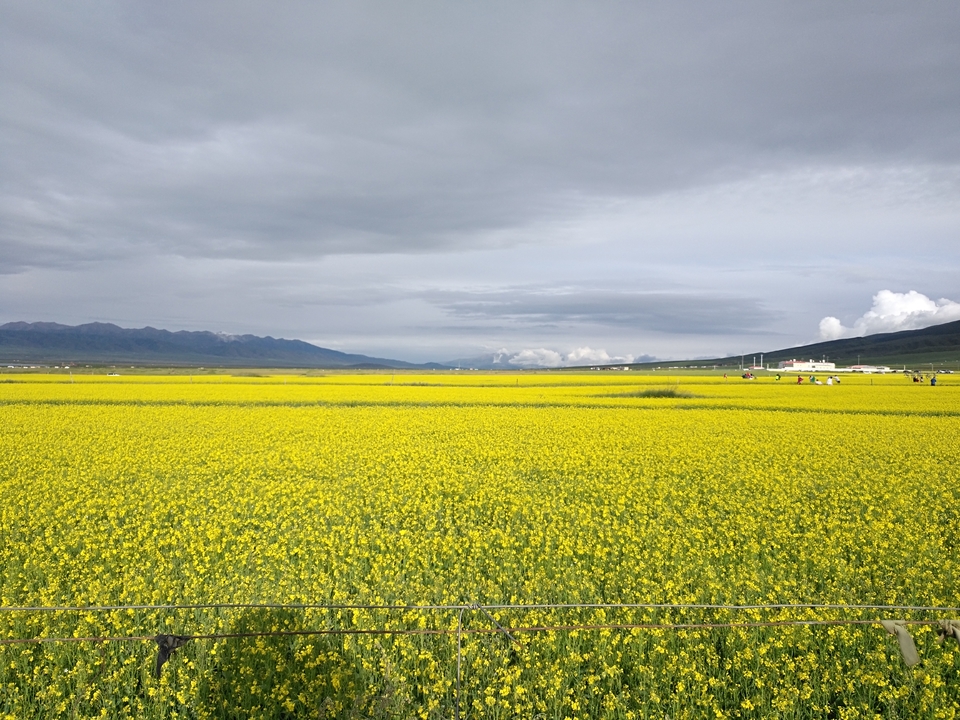 50MHnGvkSGNce6DQzSgoE5erQdPNANecByccTNN2opF6Zibspsi-erp4YFPPSIVB