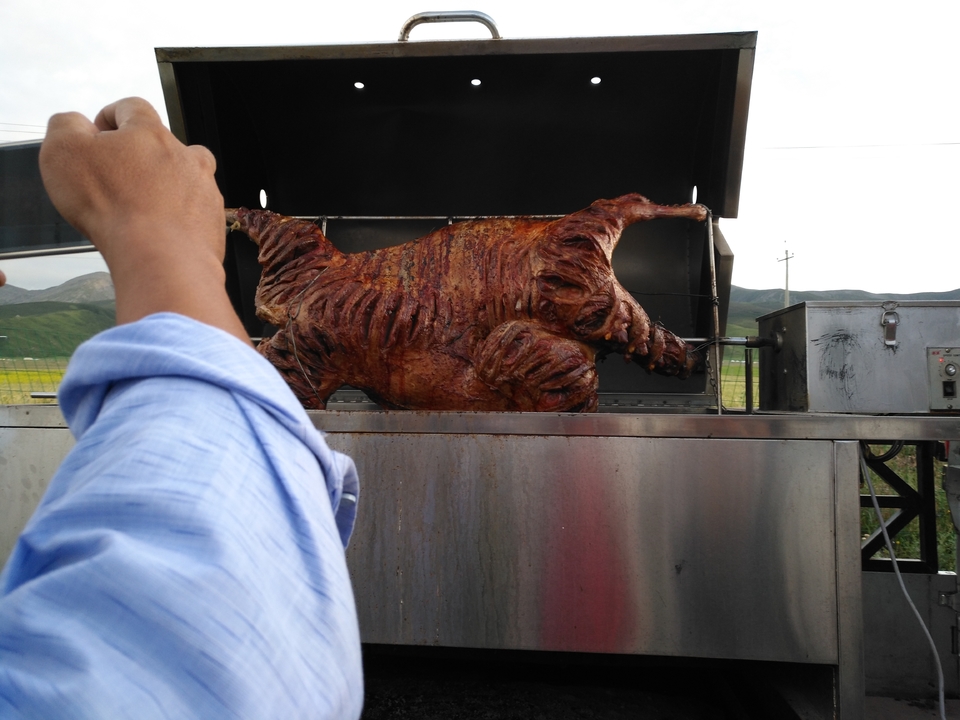 yG4_32BvJHzGgfmgKm6oyQWpVpCZWELW1ovYt3Uqtqox4QTSN4LeuZrnDsKe01xO