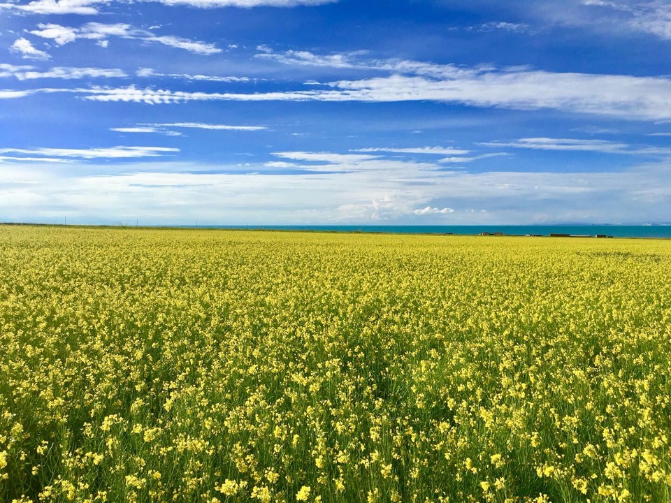 bPDutro_1kNXGvnP7LGRk2Gr2Y4DstlVO95wGP-oeesuTeHGnUMIRhjHnDswHK5n