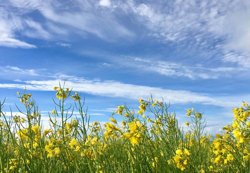 Yjr33cjS-YMyTQ7VYiB8Mrwy4V3saa1RlRqYl2CJfC4AOQiJumCYlE1fJymGrqhi