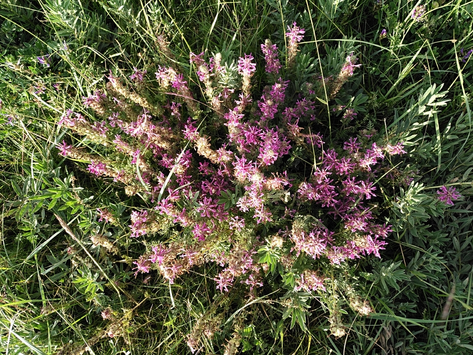 C_vKk1_6YMzpglcTt0xEOvNecIju5g0r8CI9bpx3HF3C3eTysmq6QIaW65sxdEnO