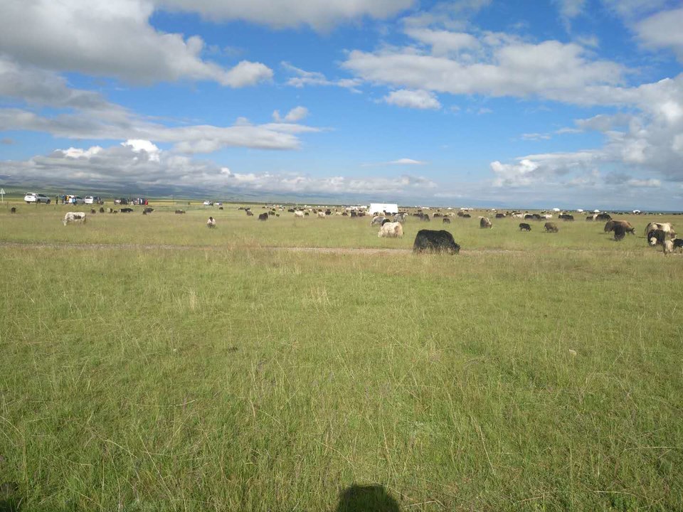 W9FqCHwSznAoGZhUPNKUJ0yOMrUkyC6WgM5IUVYxkNgtiH-Q5-aVfBhDnOx1A26p