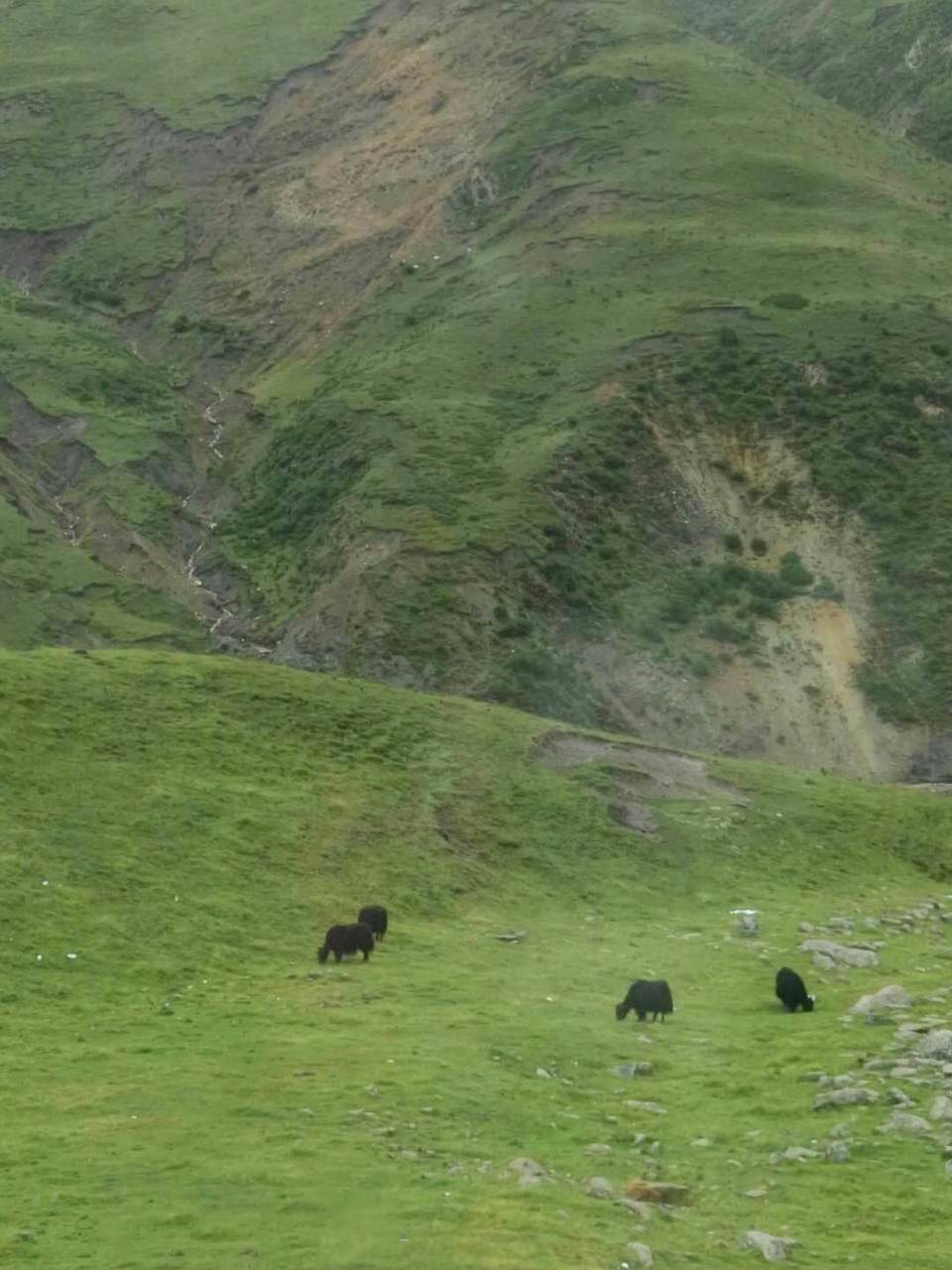 d150m6MMVTApTzthzdBPBhRrmrwylJf2zMUqnqbMsog53pgSPknK64kJARBtx9bh