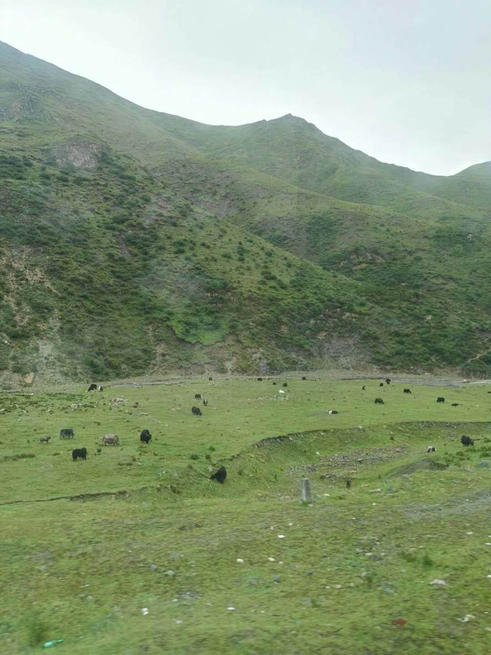 FglqOz6C_ki7ex1PjAouVeZoXlNghbd1ktwjQh3YbNjL9s5DTN9ubohaPUvrOkHy