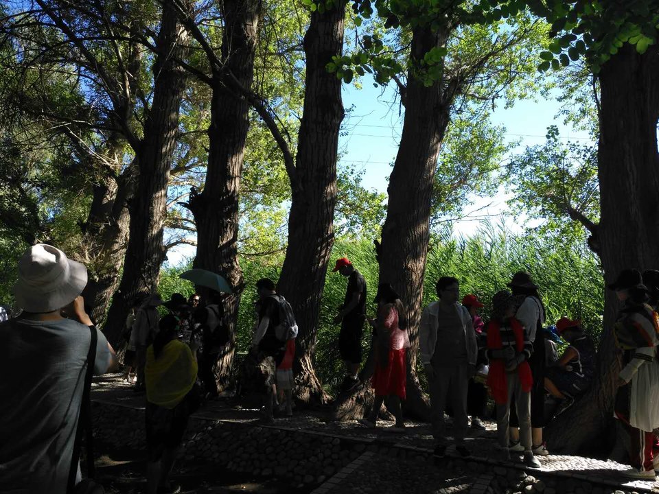 zDi1ydDVueTMwAi-aQ3R0RNZtpSA5Gu1vKgA8tkcahlDSuoKd12W6hRnqhCoAFcE