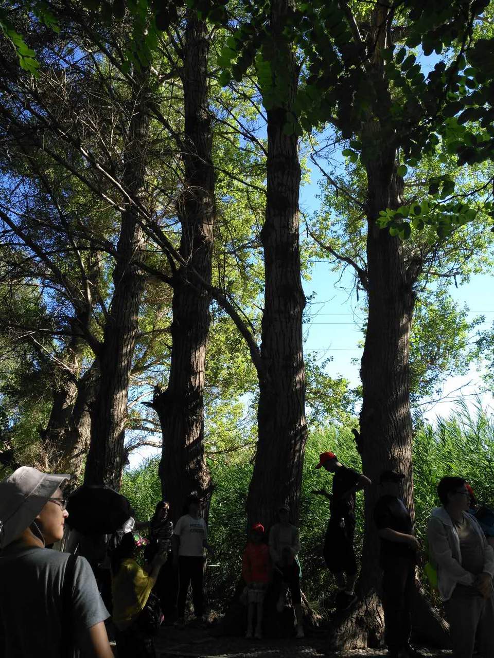 bXi55TRG2DNqQpQnhyjx1U3C8PQymaLQdsjg-PJpK9r1_uUXCFMhw4zgrtt8fRUh