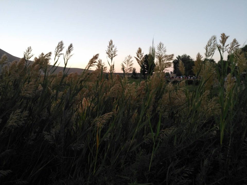 gr1Xt12SLCy2cg0XTvbdiMtgX0JTP6SGuFh68OW1W-OQWxGpxCcalBZq7FWZ4HNf