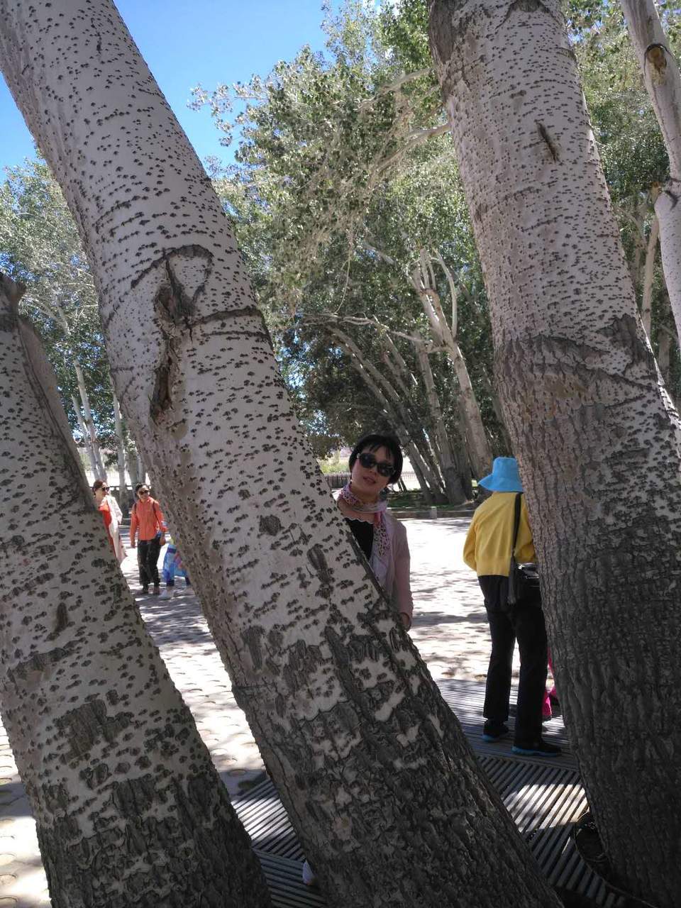 hD1cp-c98AlTNSuw28lvAla5fv6y6LQLM7oSyHY8W53ic97eUWNiab7O4MGGIcvz